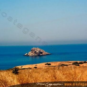 Photo Route de Tenes