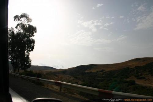 Photo Sur la route d'Alger-2589