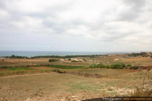 Photo Sur la route d’Alger